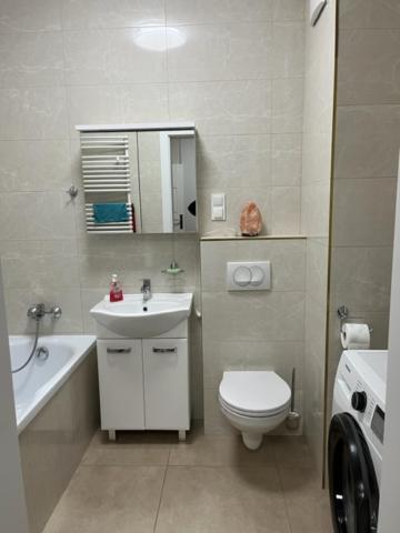 Apartament Garbary 234 Parking Free Πόζναν Εξωτερικό φωτογραφία